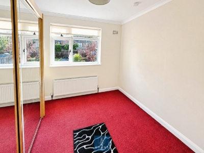 Picture 7